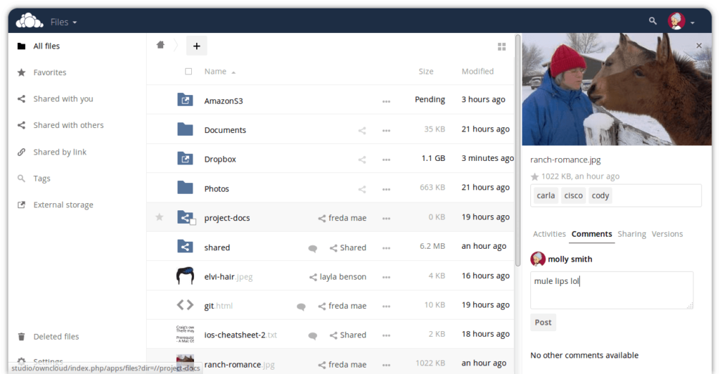 ownCloud - Webserver
