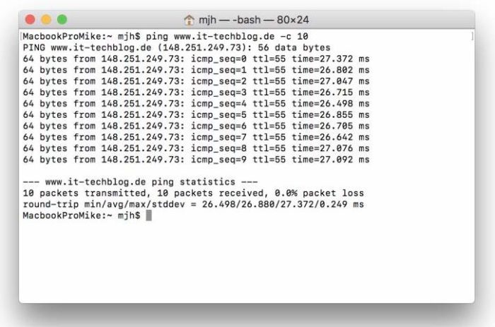 Pingzeiten des IT-techBlog via LAN