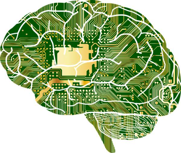 Das menschliche Gehirn als Vorbild Neuronaler Netze