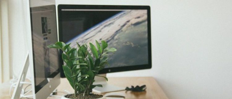 Zurück vom Homeoffice an den Arbeitsplatz