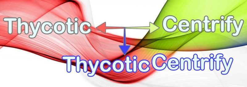Aus Thycotic und Centrify wird vorläufig ThycoticCentrify