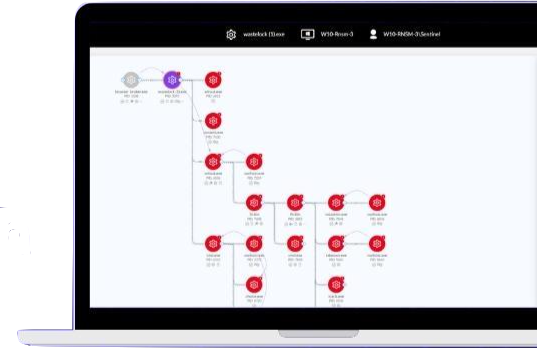 Singularity XDR Process Graph