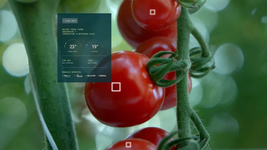 KI in der nachhaltigen Landwirtschaft am Beispiel Nature Fresh Farms